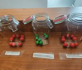 Drei Einmachgläser mit farbigen Kugeln drin. Mit den Kugeln wird gezählt, welche mögliche Beschwerde andere auch wählten.